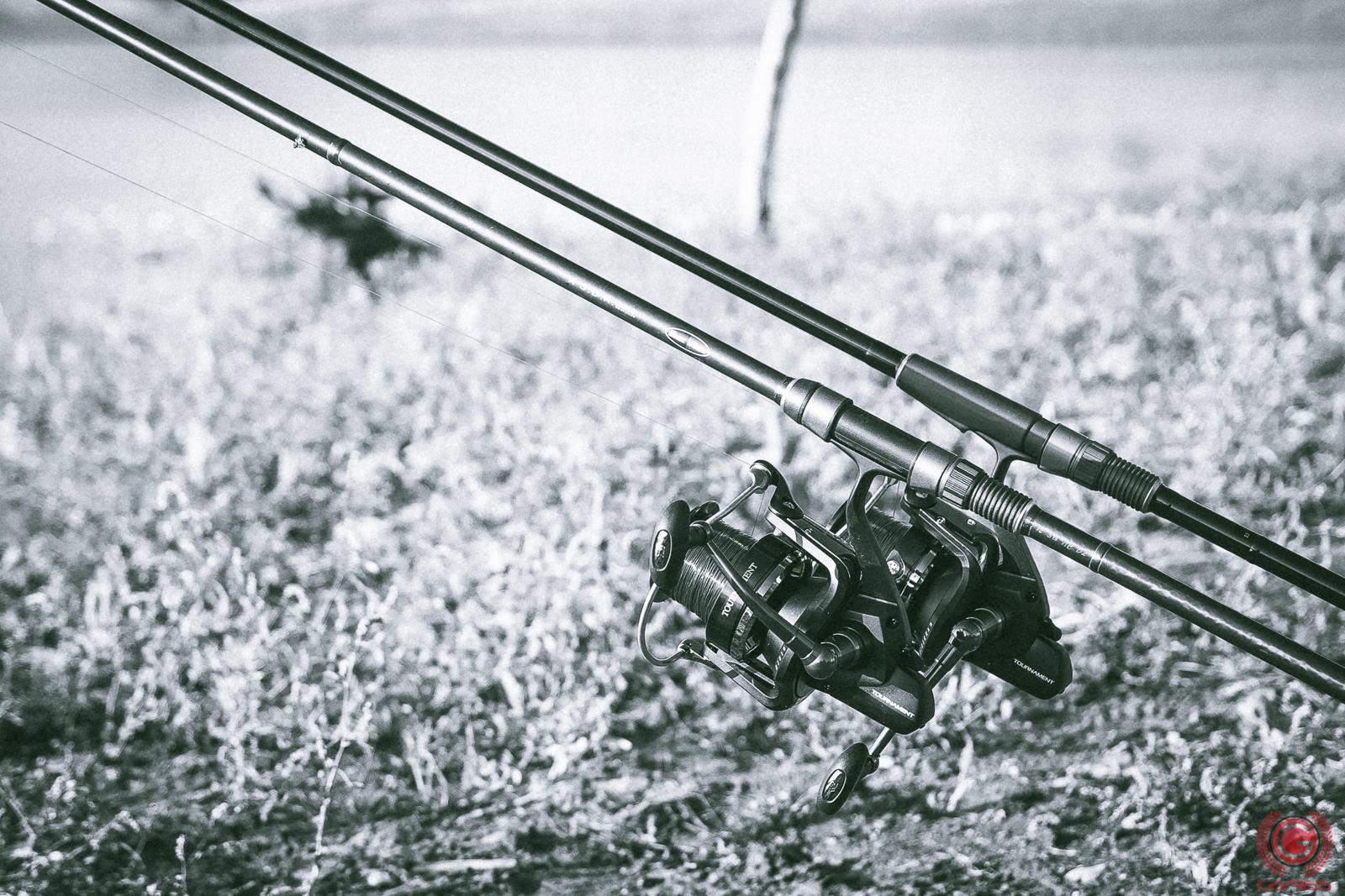 Concursuri 2016 by gor965